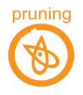 Professional pruning
